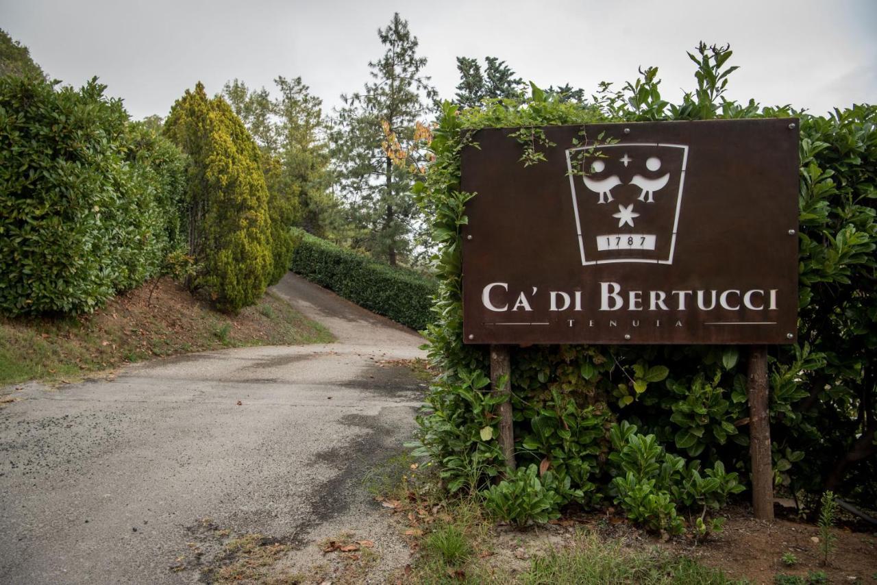 Tenuta Ca Di Bertucci Solignano Ngoại thất bức ảnh